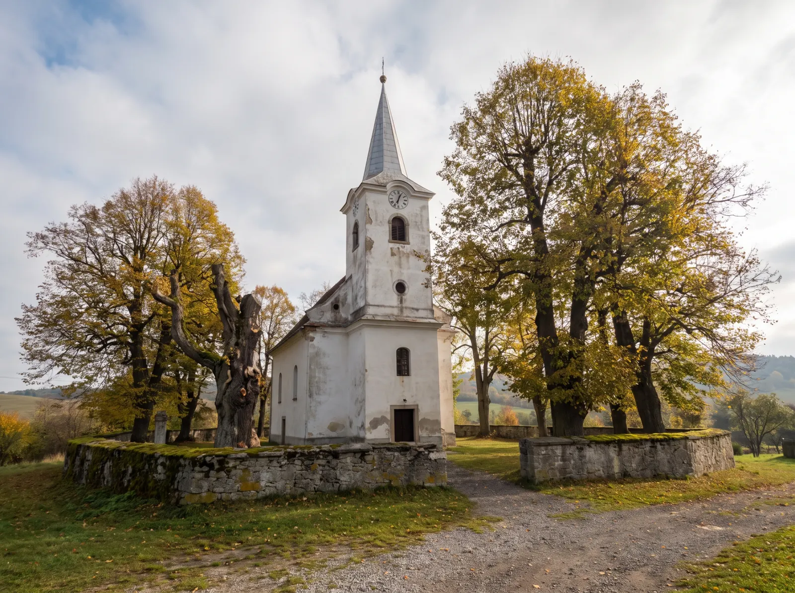 Biely kostol sv. Michala s vežou obklopený starými lipami